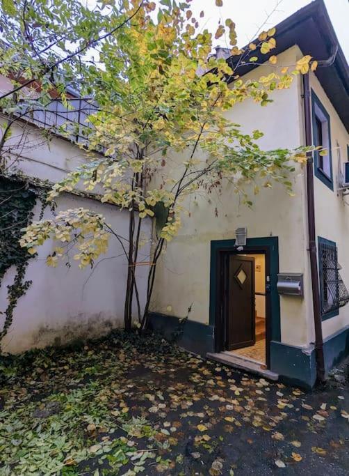 Maisonette Balcesco Braşov Exterior foto
